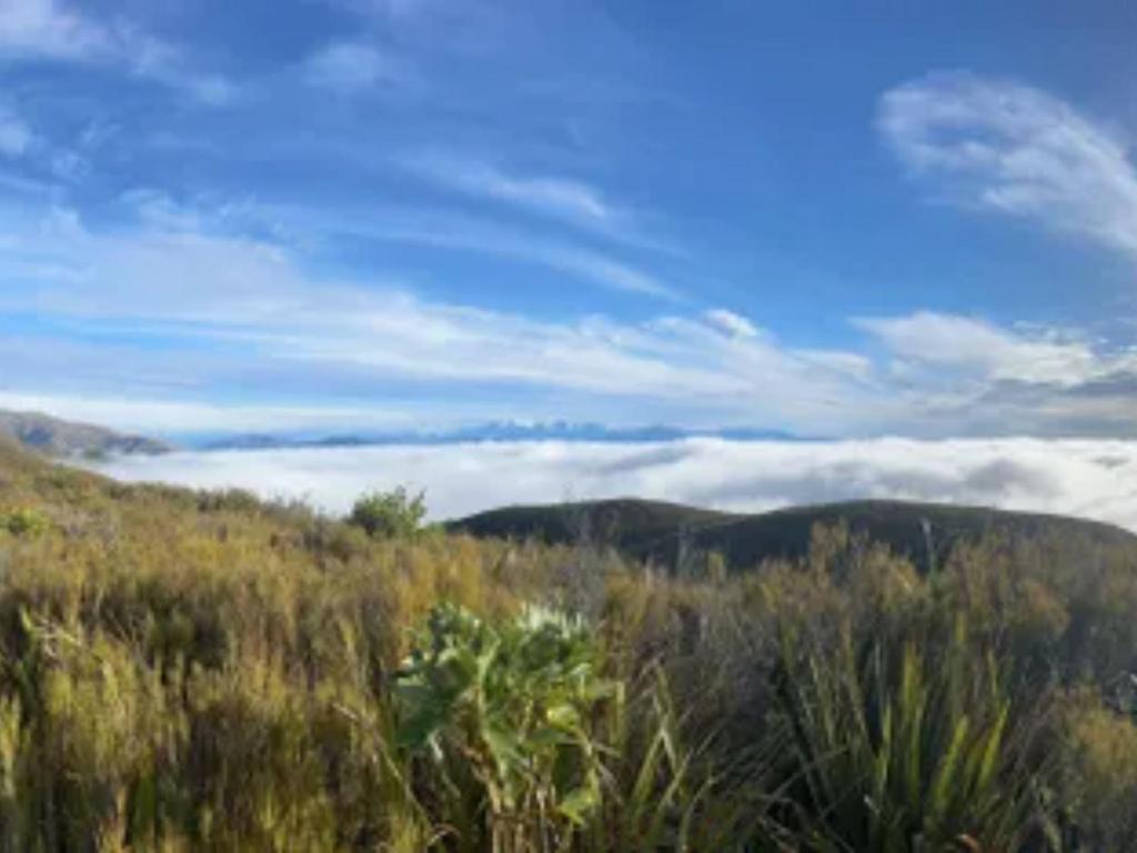 Hiking near Geraldine